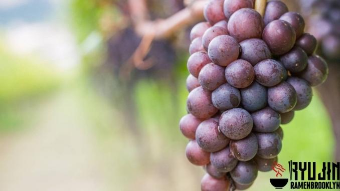 The Characteristics of Pinot Gris Grape