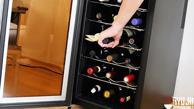 Buying Guide Tips To Choose The Quietest Wine Cooler