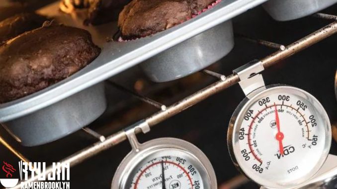 Some Tips for Use Oven Thermometer